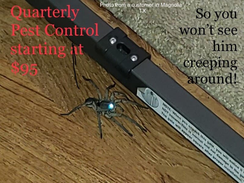 Adam's Pest Control - General Pest Control in Spring