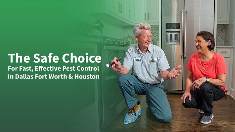 All-Safe Pest & Termite - Termite Control in Cypress