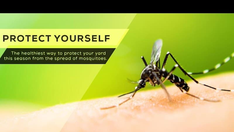 Barefoot Mosquito & Pest Control - Houston TX - Mosquito Control in Houston