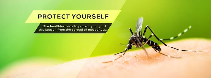 Barefoot Mosquito & Pest Control - Kingwood, TX - Mosquito Control in Houston