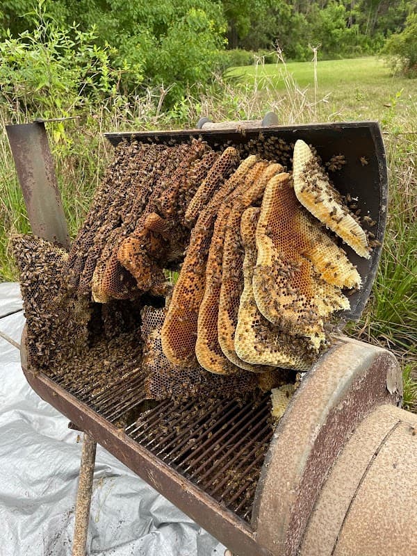 Bee Ez Apiary - General Pest Control in Montgomery