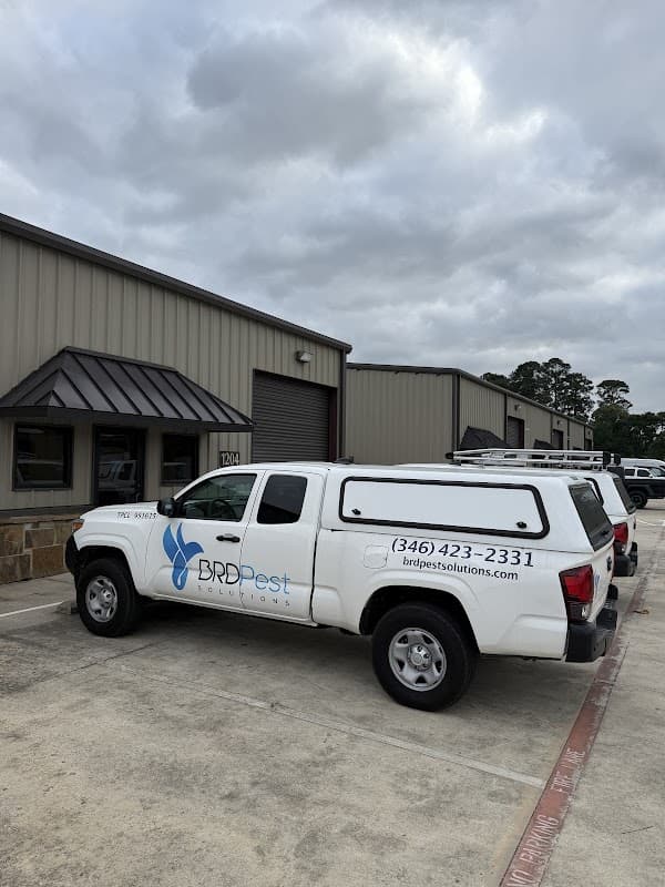 BRD Pest Solutions - General Pest Control in Spring