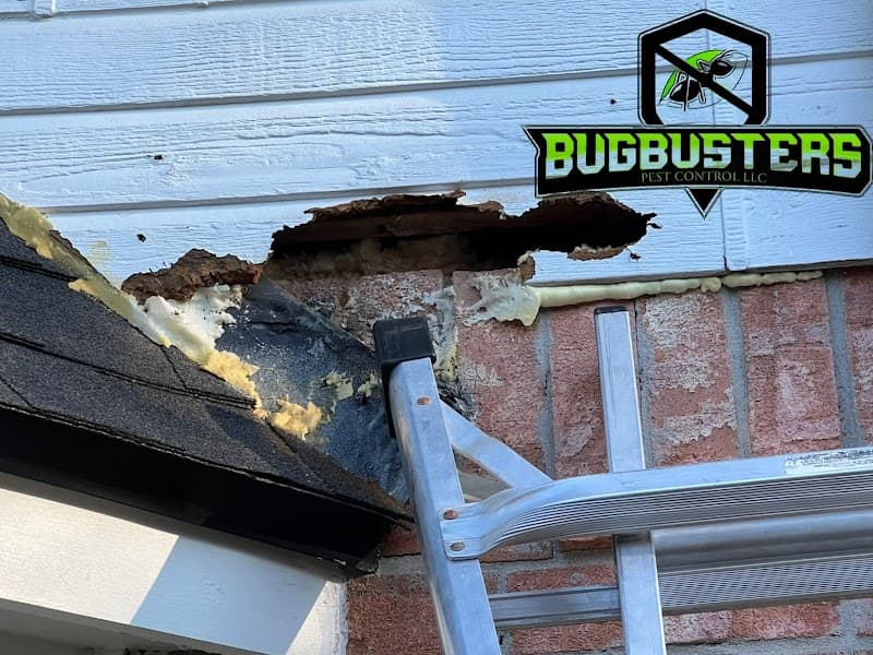 BugBusterz Pest Control LLC - General Pest Control in Sugar Land