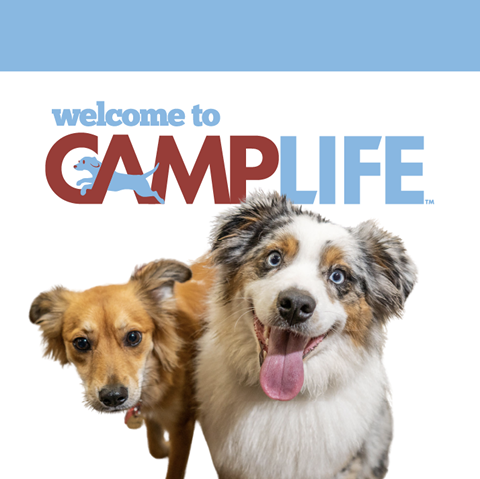Camp Bow Wow Houston-Hobby - General Pest Control in Houston
