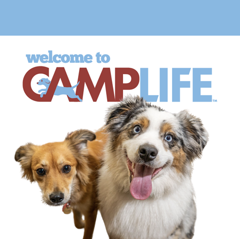 Camp Bow Wow Near The Woodlands Area - General Pest Control in Oak Ridge North