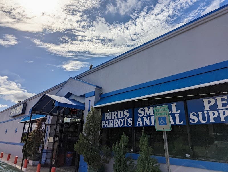 City Pets - General Pest Control in Houston