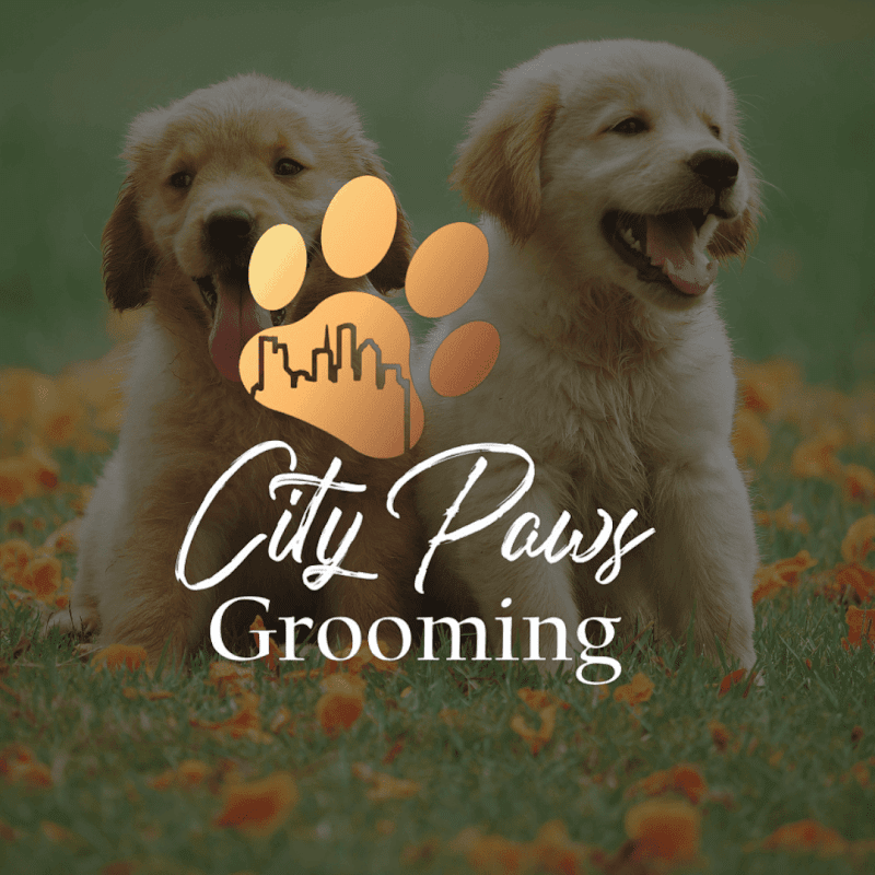 CityPaws Grooming - General Pest Control in Houston