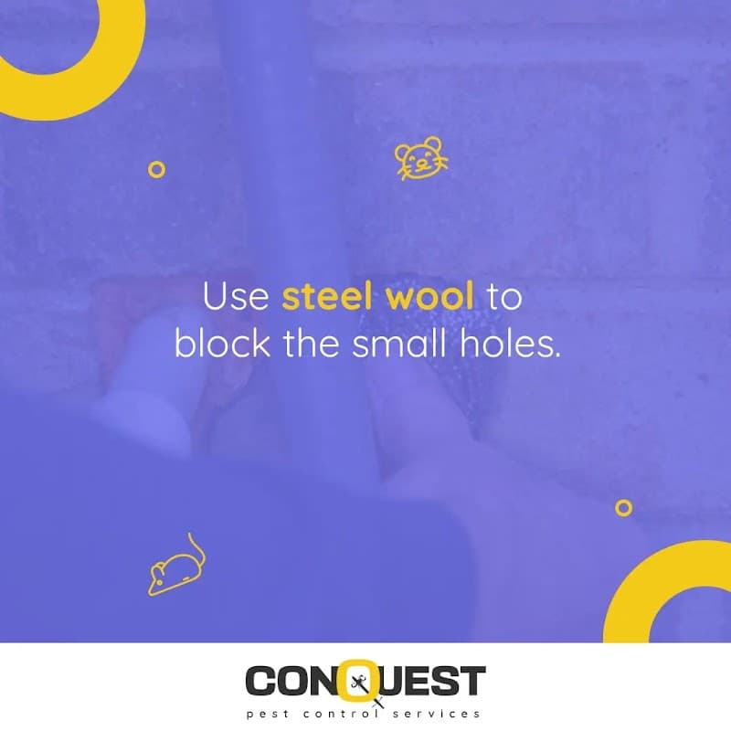 Conquest Pest Services - Commercial Pest Control in Richmond