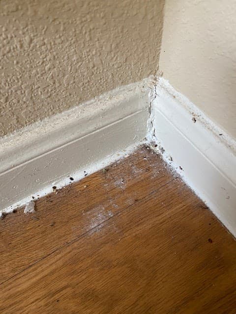 Guardian Mosquito & Pest Control - Mosquito Control in Montgomery