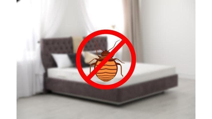 Houston Bed Bug Heat Treatment - Bed Bug Treatment in Houston