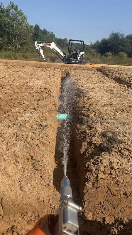 IN & OUT PEST CONTROL - General Pest Control in Kingwood