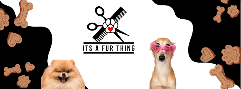Its A Fur Thing - General Pest Control in Kingwood