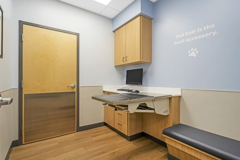 Livewell Animal Hospital of Katy - Wildlife Removal in Katy