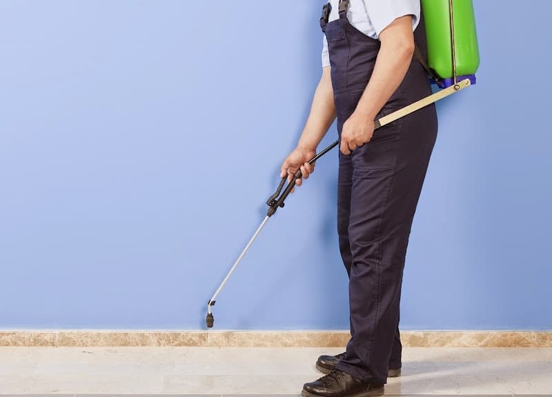 Magnolia Pest Solutions - General Pest Control in Magnolia