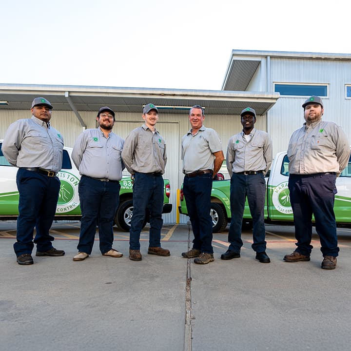 Marathon Pest Control - Rodent Control in Magnolia