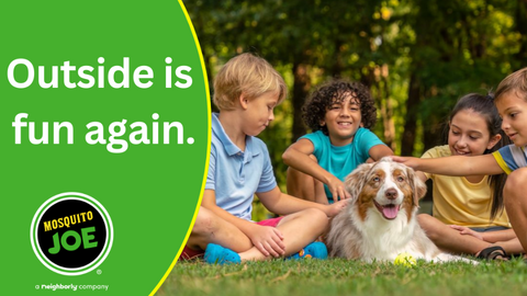 Mosquito Joe of NW Houston - Mosquito Control in Montgomery