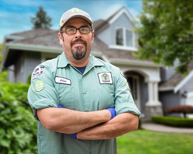 Natran Green Pest Control - General Pest Control in Houston