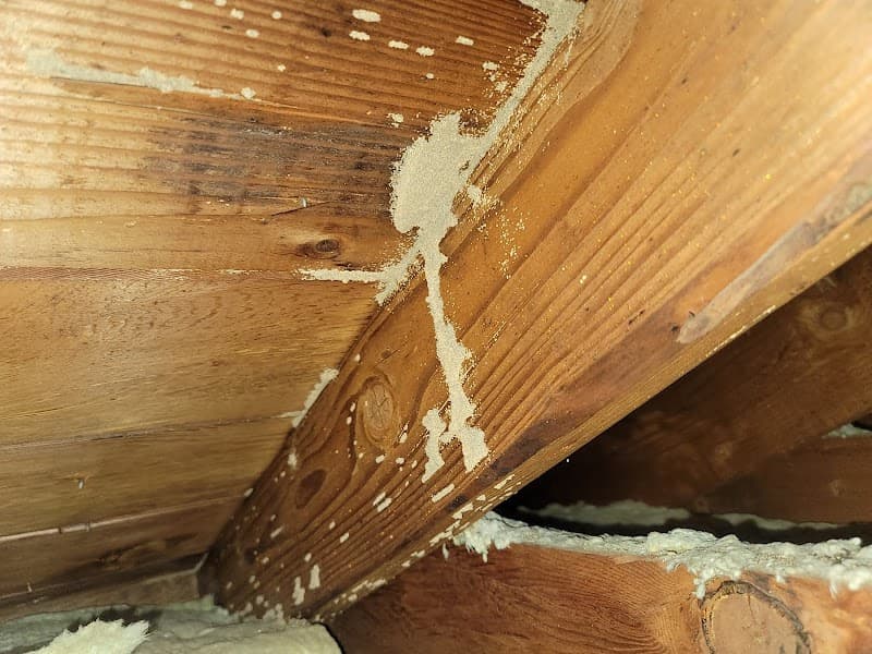 Old Reliable Pest Control - Termite Control in Houston