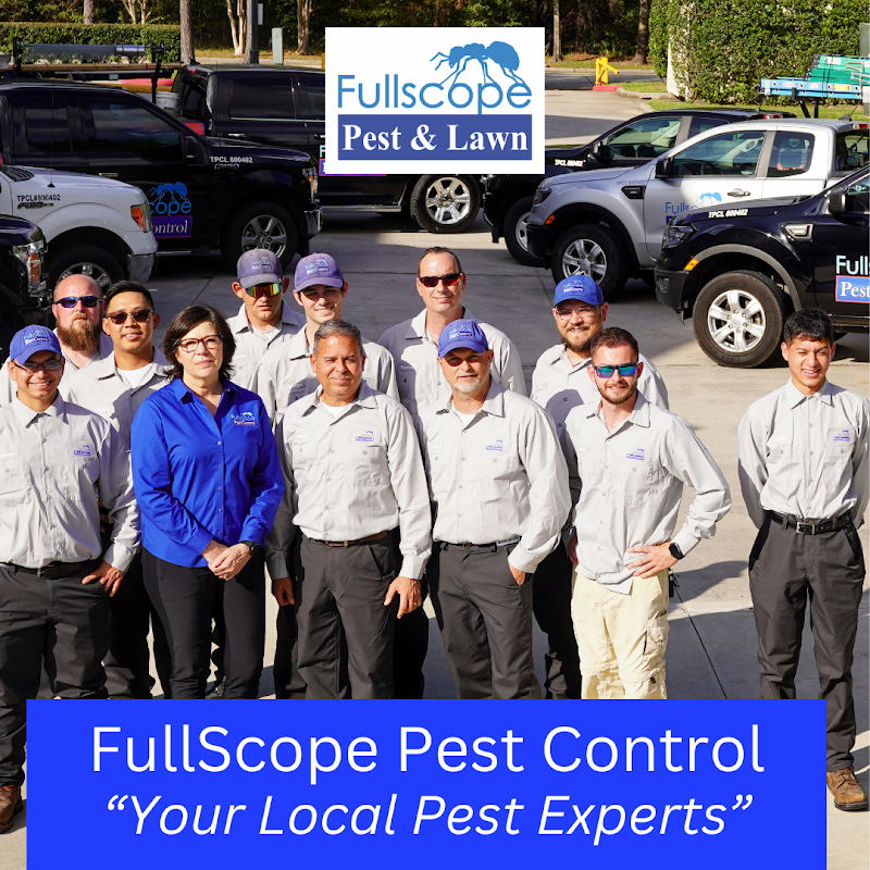 Pest Control Conroe - Full Scope - General Pest Control in Conroe