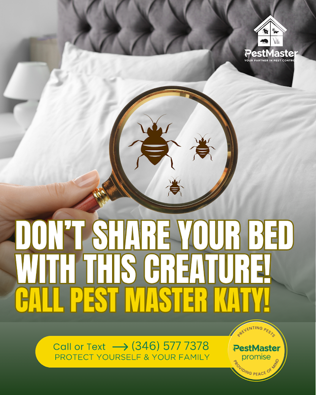 Pest Master Katy | Pest Control - General Pest Control in Sugar Land