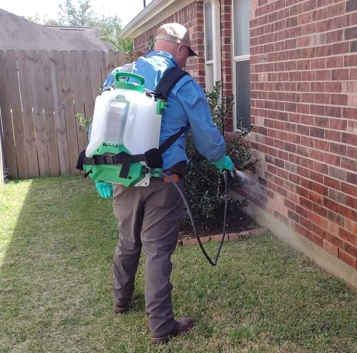 Pest Wrangler - Termite Control in Conroe