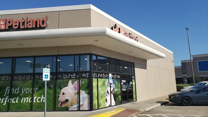 Petland Webster - General Pest Control in Webster