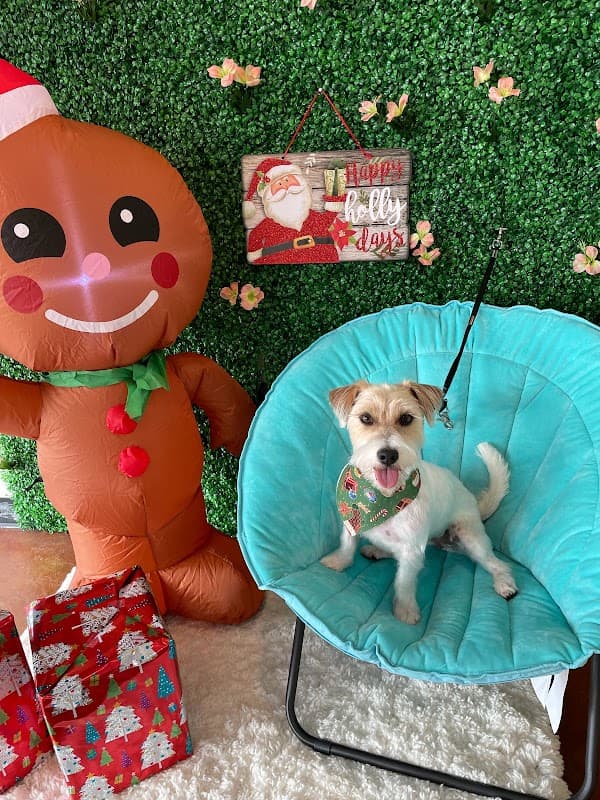 Pretty Paws Pet Spa - General Pest Control in Cypress