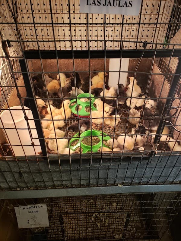 Ray's Feed Store - General Pest Control in Houston