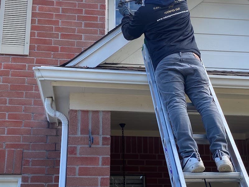 Rodent Prevention Services - Rodent Control in Katy