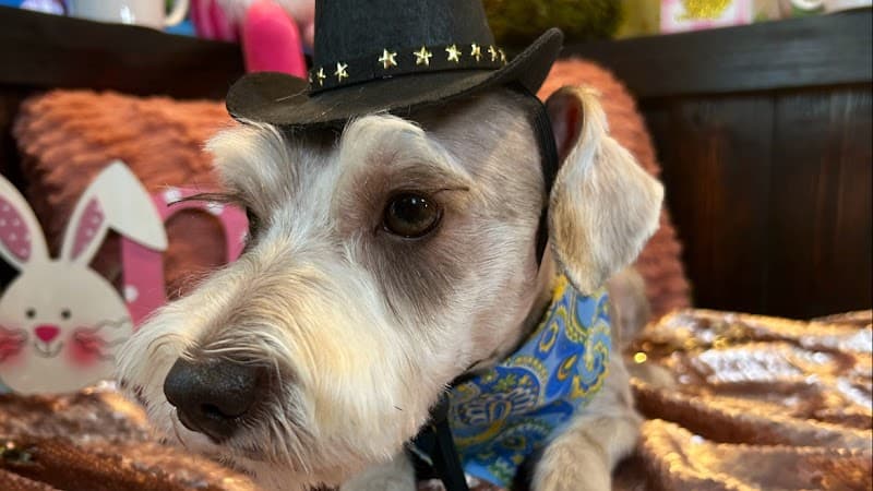 rokos LLC - General Pest Control in Humble