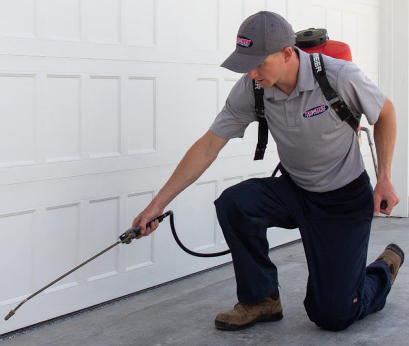 Romney Pest Control - Houston - General Pest Control in Tomball