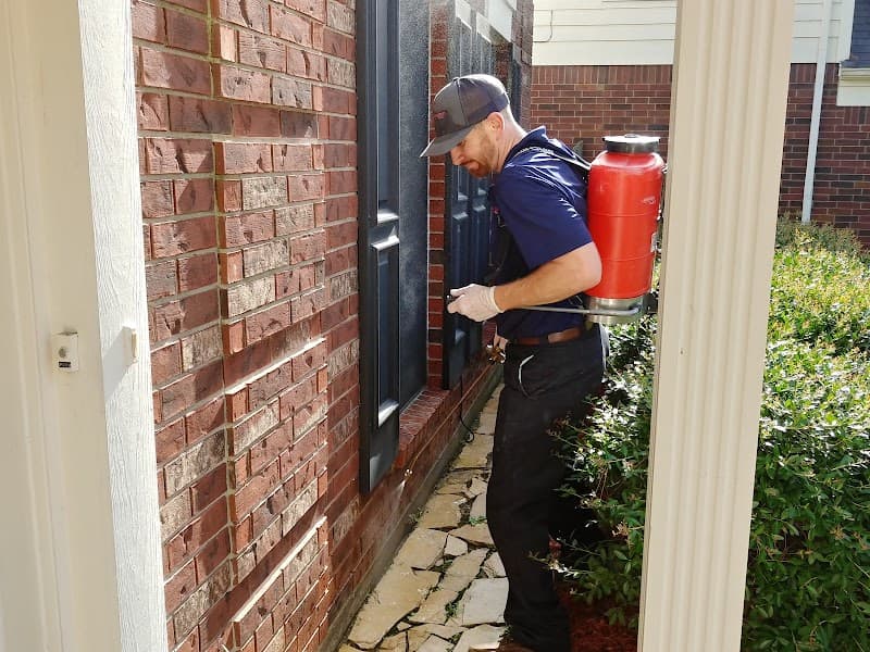 Samson Pest and Termite Services - Termite Control in Houston