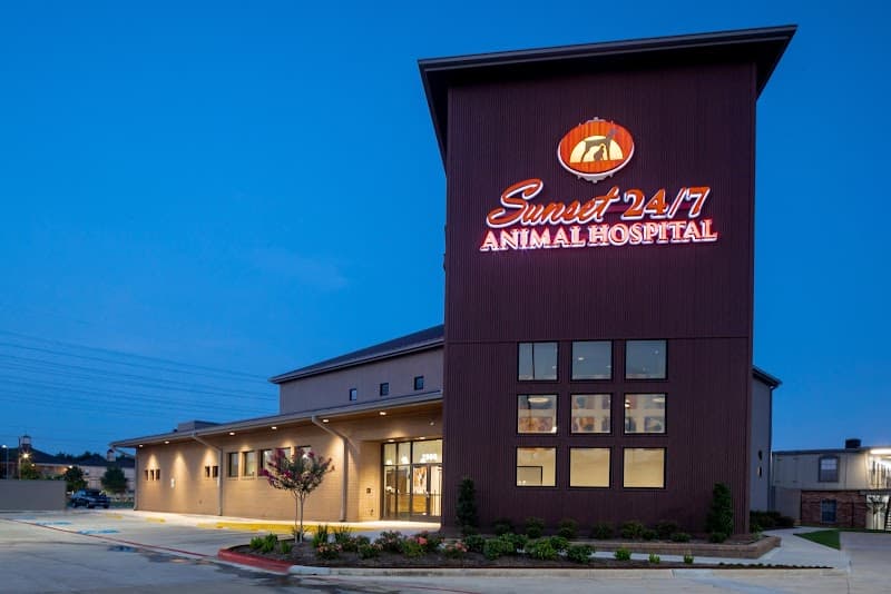 Sunset Animal Hospital - Wildlife Removal in Houston