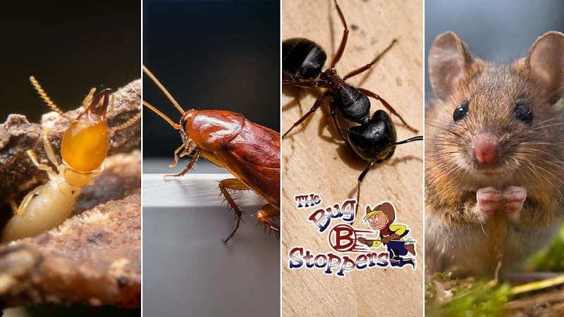 The Bugstoppers Pest Control - General Pest Control in Conroe