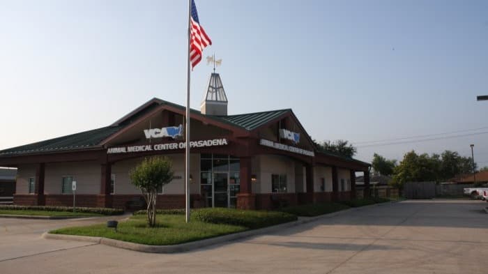 VCA Animal Medical Center of Pasadena - Wildlife Removal in Pasadena