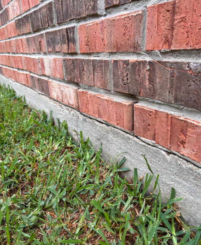 Vulcan Pest Control - General Pest Control in Cypress