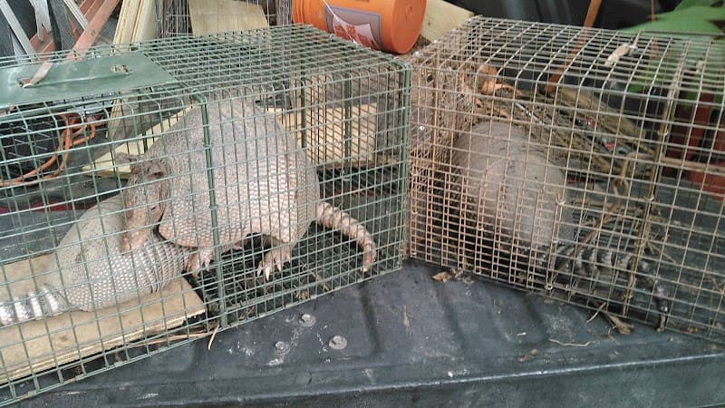 Wildlife Trapper Pro - Wildlife Removal in Sugar Land