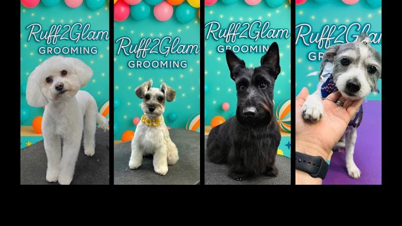 Ruff2Glam Grooming Salon & Boutique - General Pest Control in League City