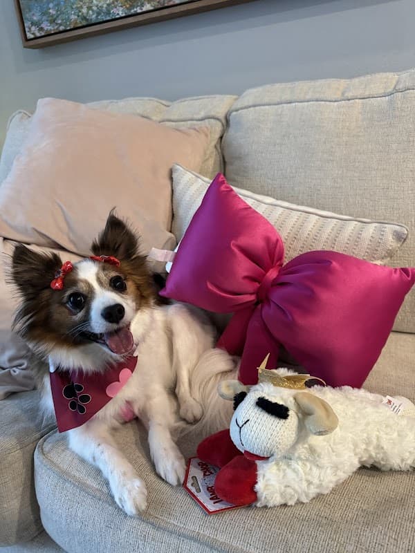 Woof Gang Bakery & Grooming College Park - General Pest Control in Conroe