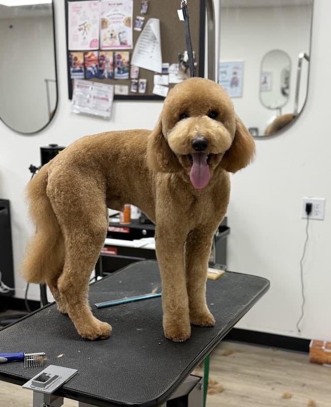 Woof Gang Bakery & Grooming Fulshear - General Pest Control in Katy